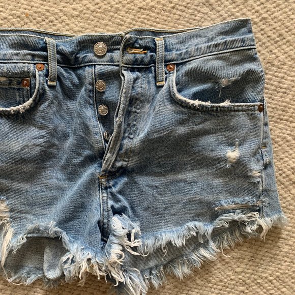 Agolde Vintage Parker Shorts